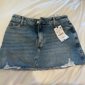 Zara Jean skirt